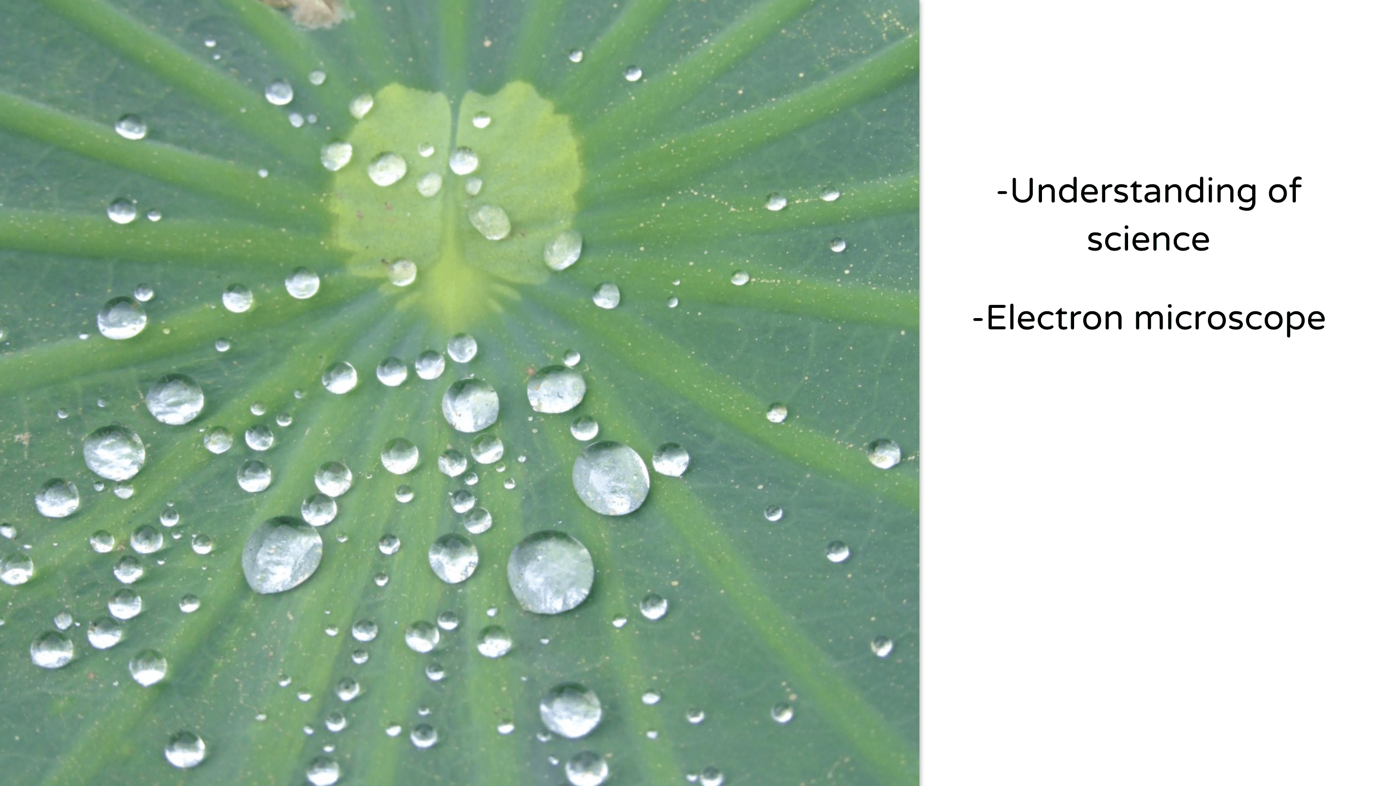 Screen Shot 2018-11-18 at 3.18.40 PM