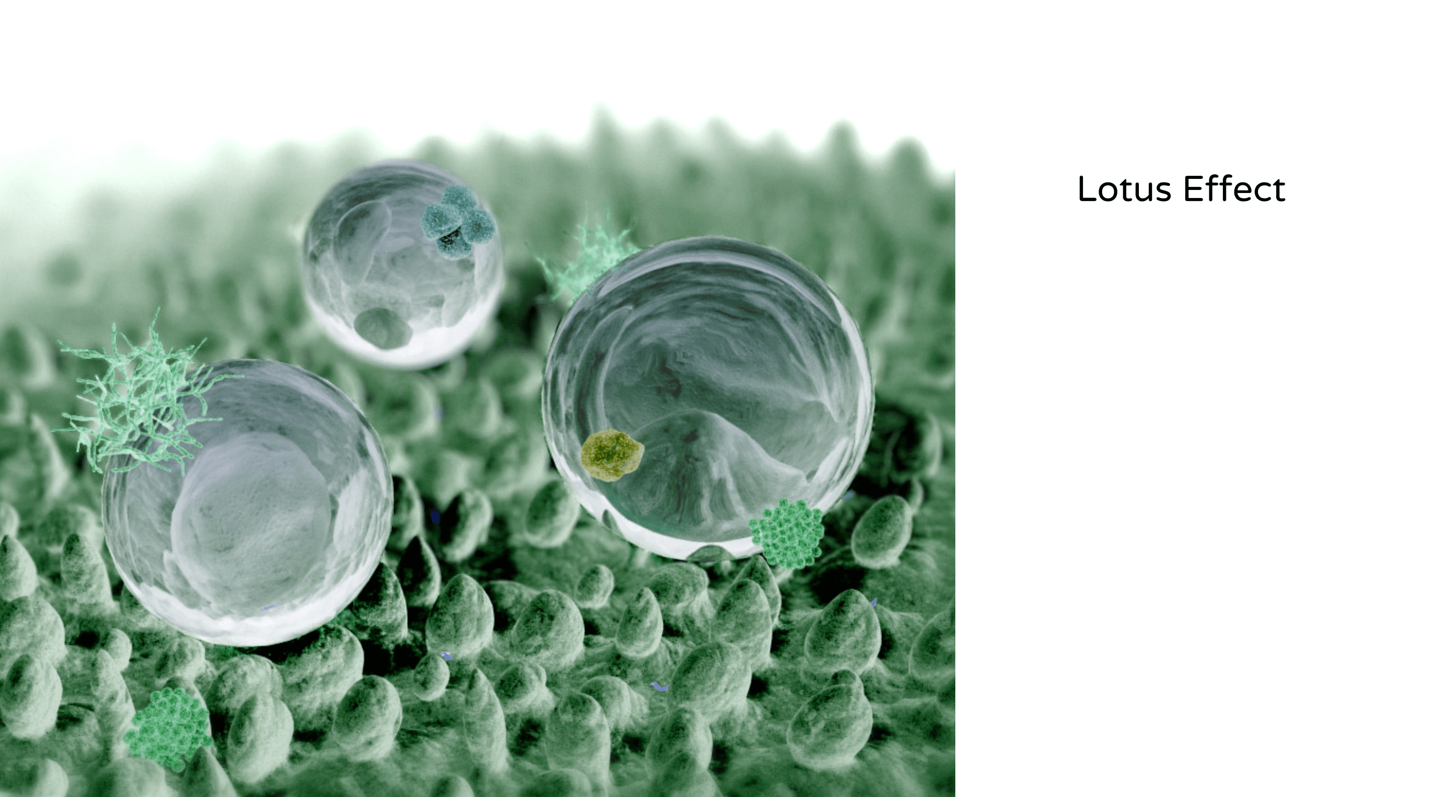 Screen Shot 2018-11-18 at 3.18.51 PM